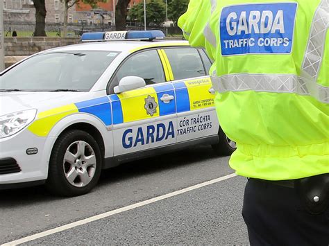 Homeless charity worker spat at garda at traffic stop and told him .